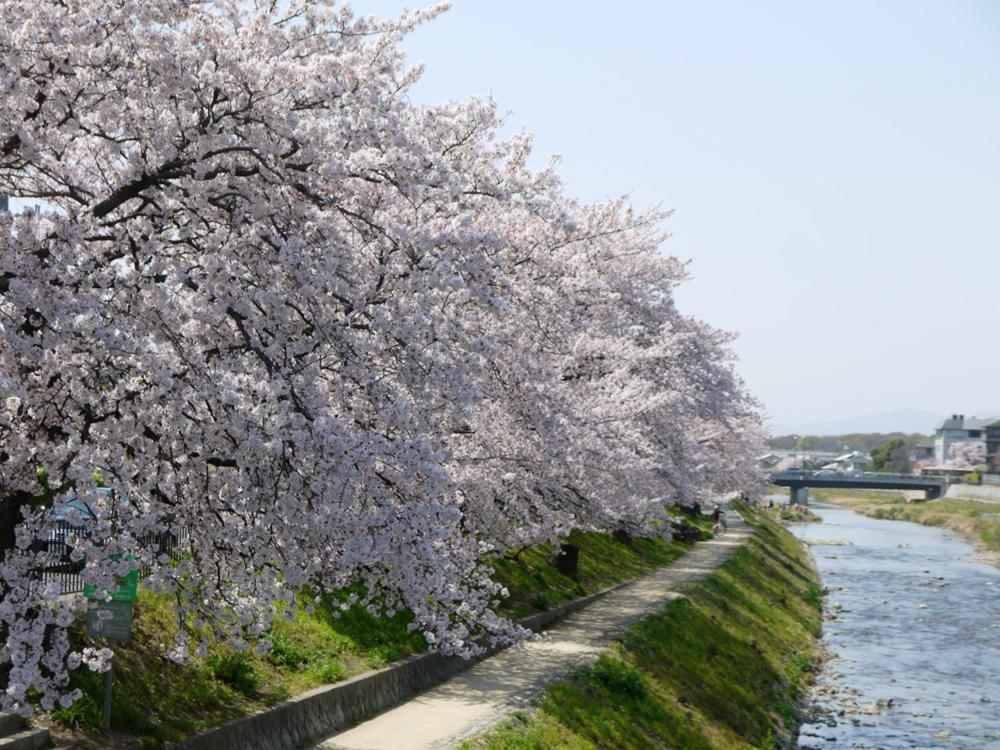Hanare Kyoto Chogeikan Екстериор снимка